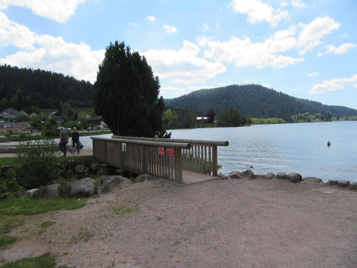 Appartement Les Balcons De La Chalande Le Tholy Gerardmer, Jardin,Balcon, Terrasse, Екстериор снимка