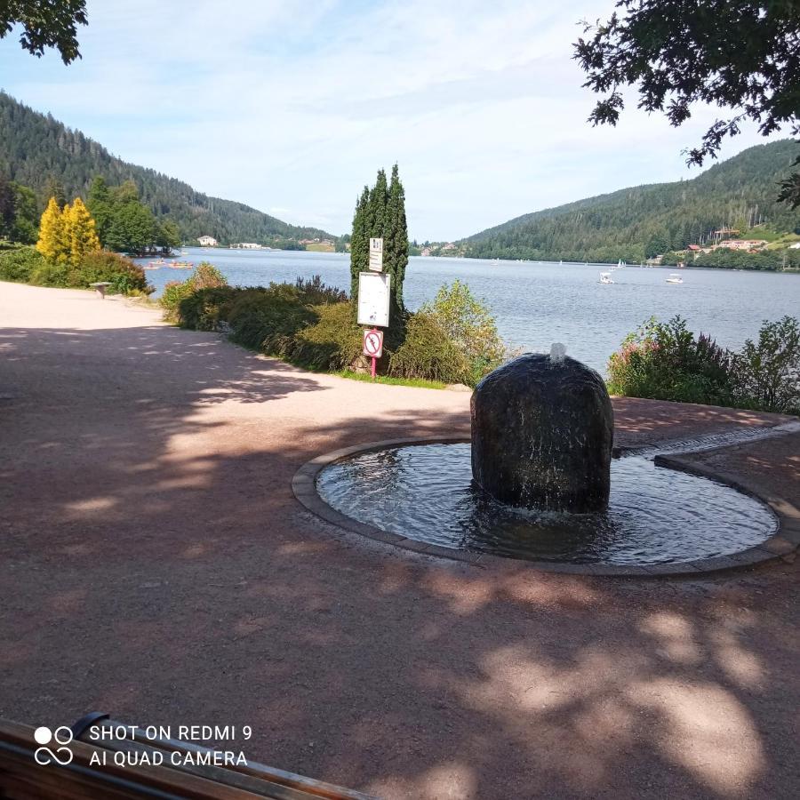 Appartement Les Balcons De La Chalande Le Tholy Gerardmer, Jardin,Balcon, Terrasse, Екстериор снимка